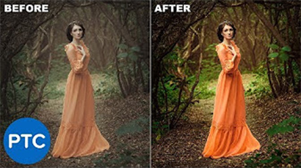 Quý bà váy vàng trong rừng già Nhận Phục hồi ảnh cũ Photoshop Hải Phòng